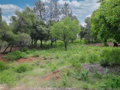 3218 Skyline Dr #12, Kelseyville, CA, 95451