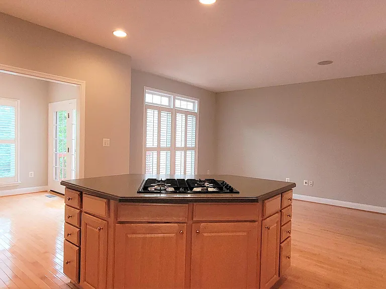 5344 Blue Aster Cir — Photo 11