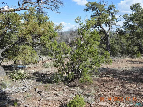 9 Sturgeon Dr, Thoreau, NM 87323