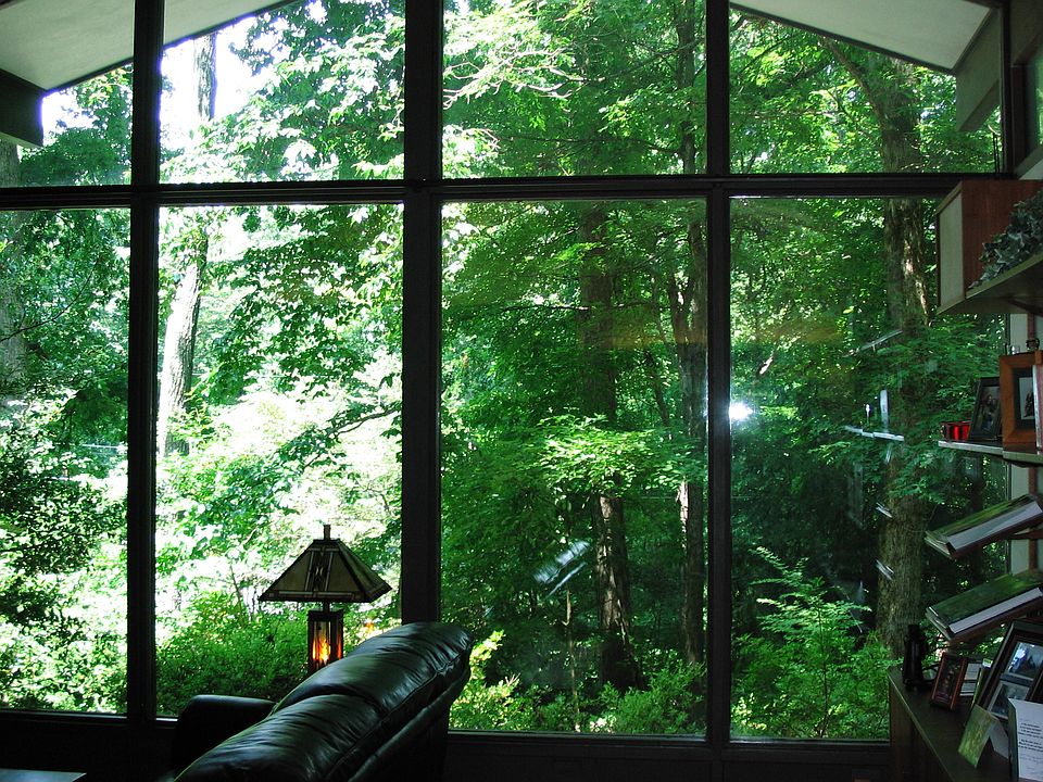 2nd image of 117 Wendover Cir