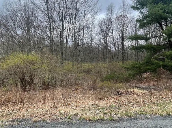 498 Fox Rd, Dingmans Ferry, PA 18328