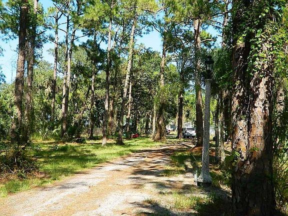 Antique light posts also line the winding driveway as it meanders thru the forest to the home.