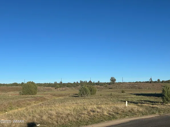 2261 E Rimstone Dr, Show Low, AZ 85901