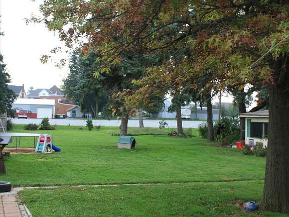The back yard