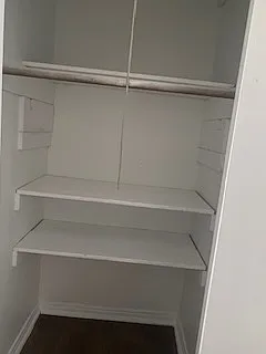 Deep closet with shelves