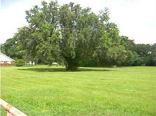 1st image of 820 Holsberry Pl