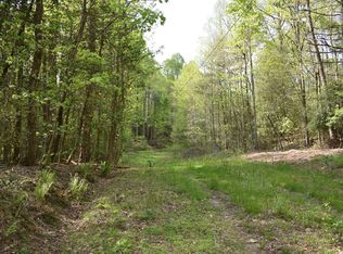 64 Echota Ct #1, Ellijay, GA 30540