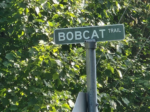 2nd image of 0 Bob Cat Trl Lot 733