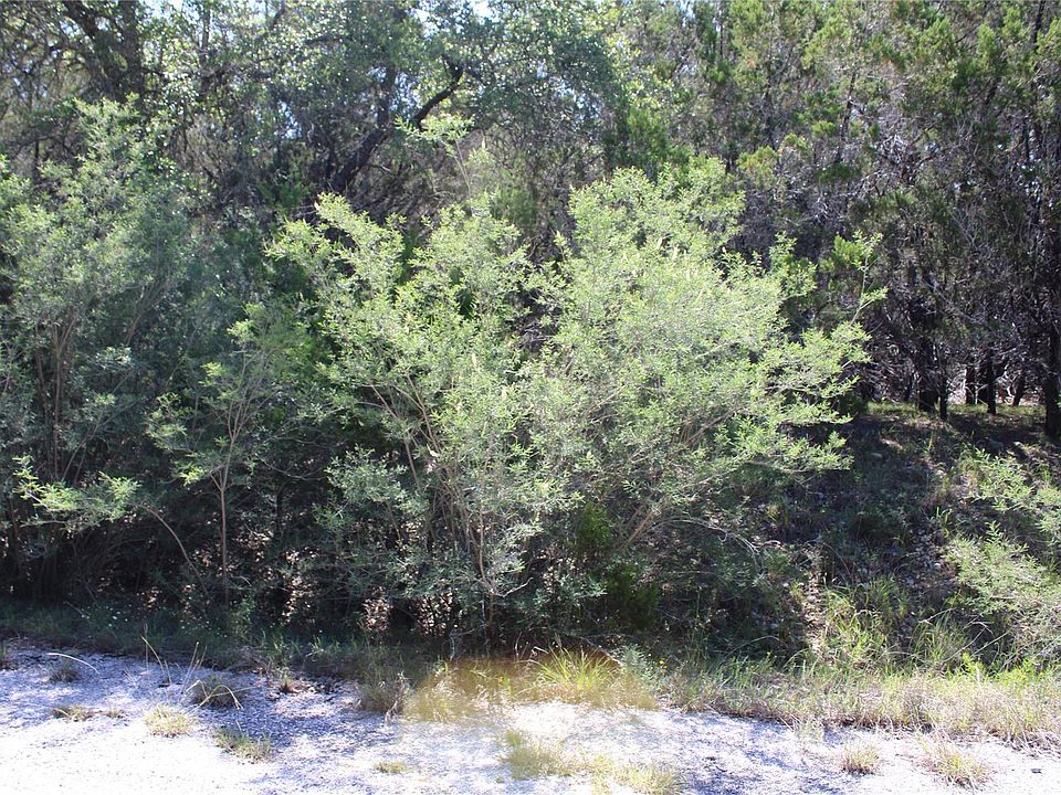 1st image of 8207 Cedar Glen Cv