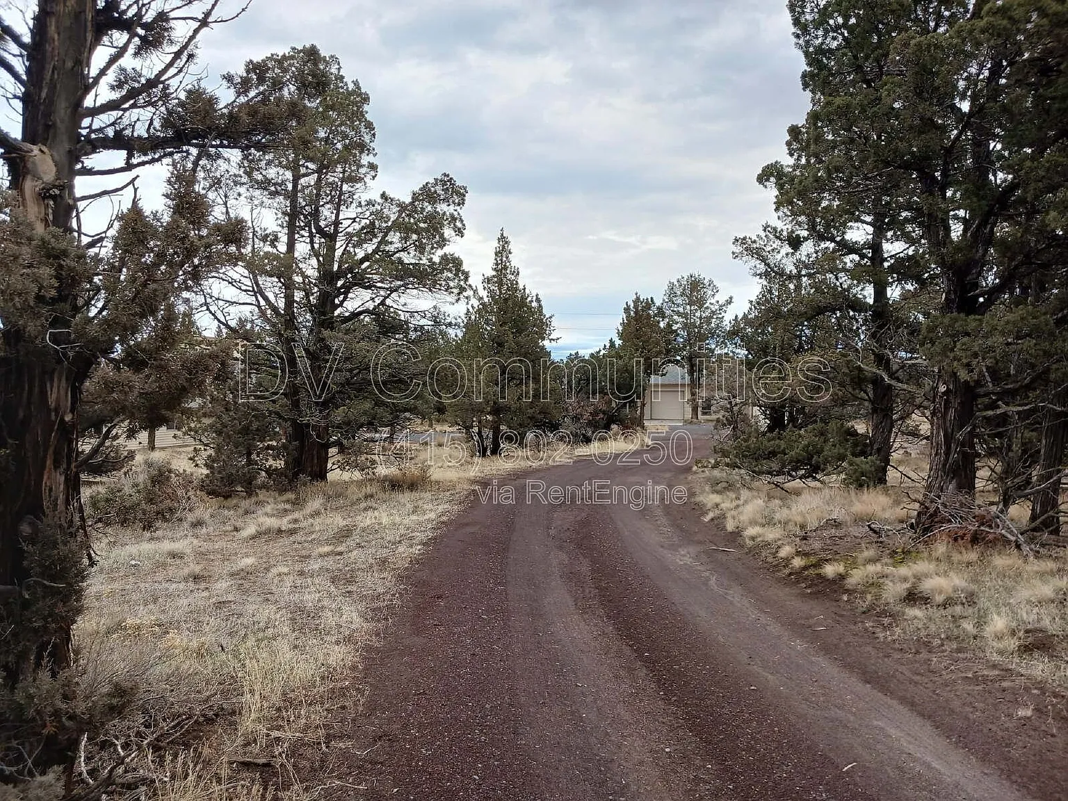 4 bed, 3.0 bath, 2700 sqft, $3,950 — Photo 4