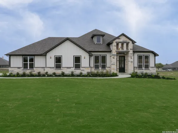 10868 Chestnut Warbler, New Braunfels, TX 78132