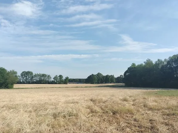 None Hwy #301, Weldon, NC 27890