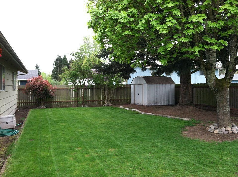 Large Backyard with Shed