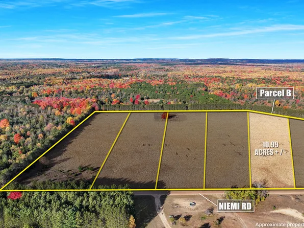0 Niemi Rd Parcel B, Kaleva, MI 49645