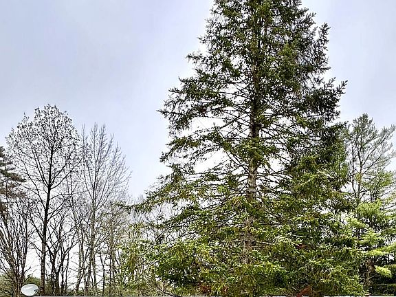 2nd image of 242 Riverside Drive
