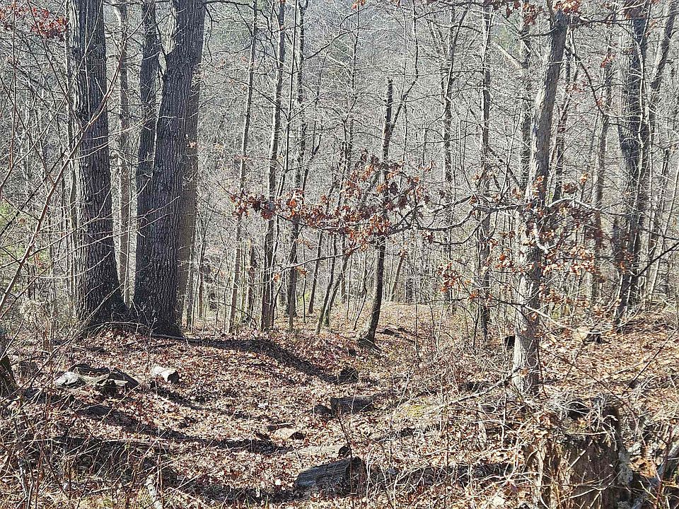 0 Salyers Ln, Argillite, KY 41121 Zillow