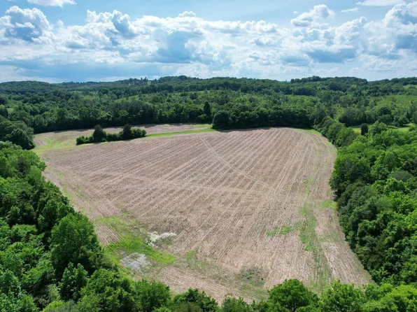 0 Lankford Ln Lot 4, Decatur, TN 37322