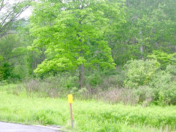 4th image of 4013 State Highway 8