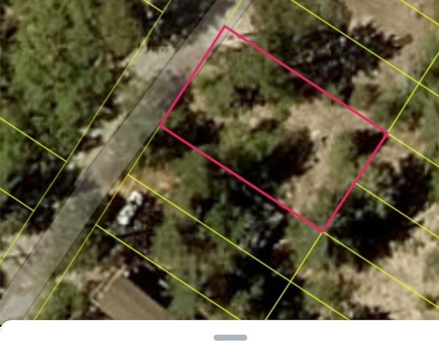 1st image of 2419 Pine Dr