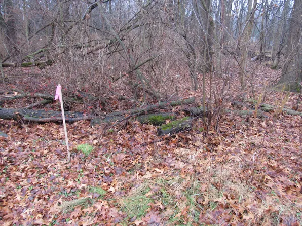 Haines Rd, Three Rivers, MI 49093