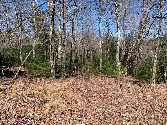 5th image of LOT 43 Black Powder Trl Lot 43