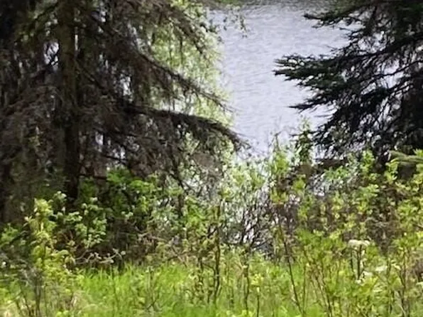 52155 Sterling Hwy, Kasilof, AK 99610