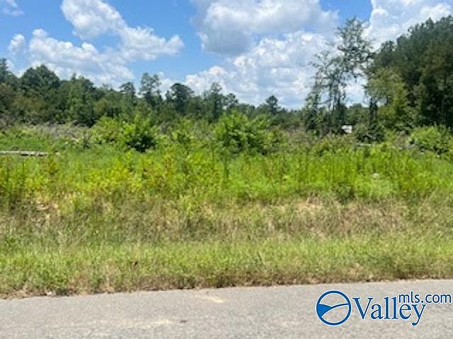 2nd image of LOT 21 County Road 113