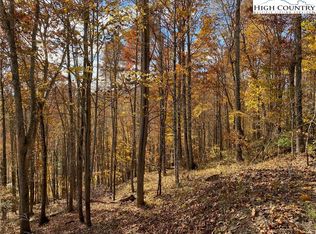 LOT 30 Pinnacle Ridge Rd, Todd, NC 28684