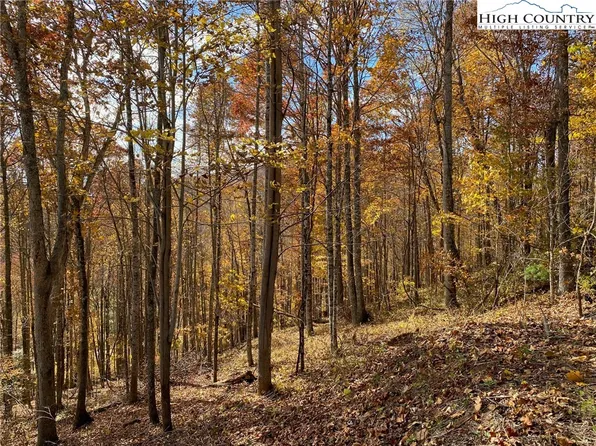 Lot 30 Pinnacle Ridge Road, Todd, NC 28684