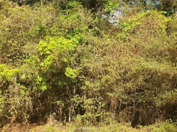 LOT 33 Drake Ln, Hempstead, TX 77445