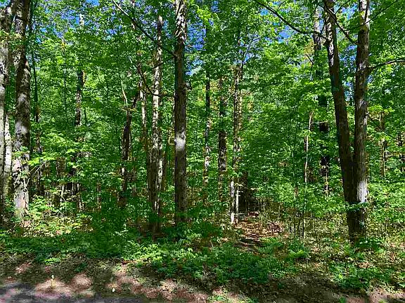 3rd image of 12607 Elsie Lake Ln