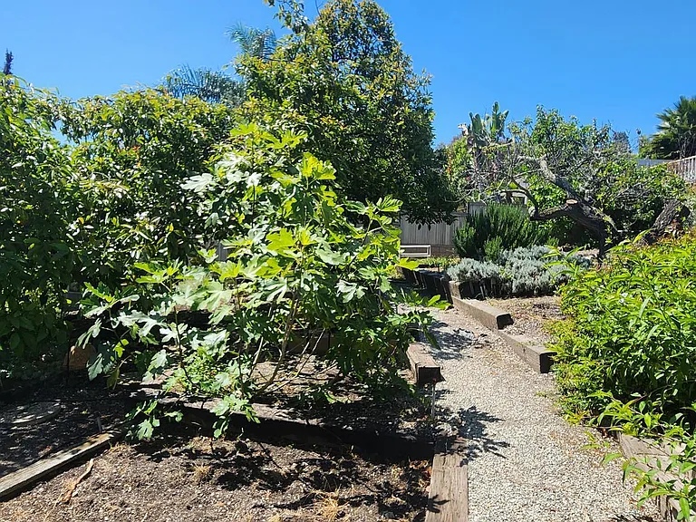 31 Shady Vista Rd — Photo 26