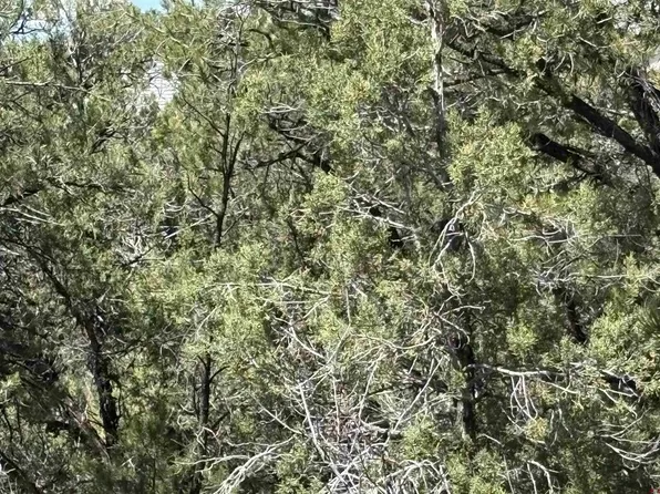 150 Deer Park, Arboles, CO 81121
