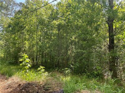 Hill St, Covington, LA, 70433