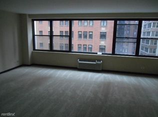 850 N Dewitt Pl APT 3B, Chicago, IL 60611