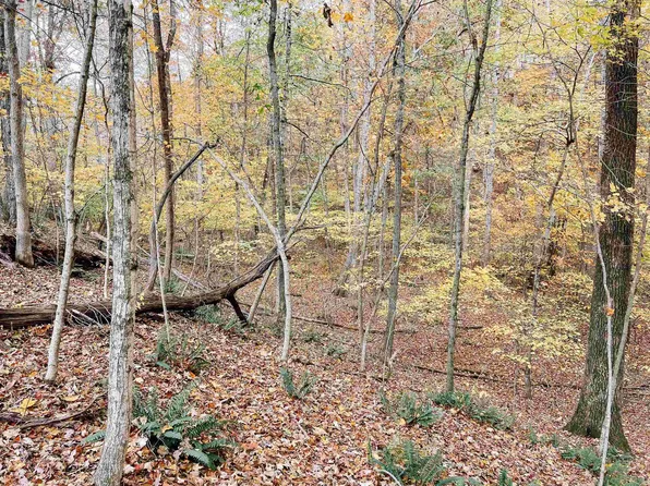 Remington Rd, Blacksburg, VA 24060