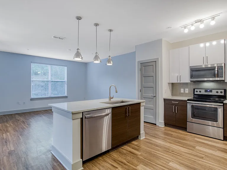 Gourmet kitchen with plank flooring, quartz countertops, and stainless steel appliances