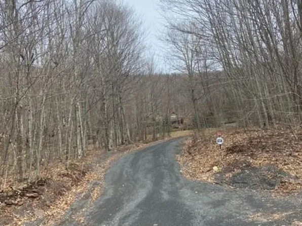 219 Bailey Road, Jewett, NY 12444