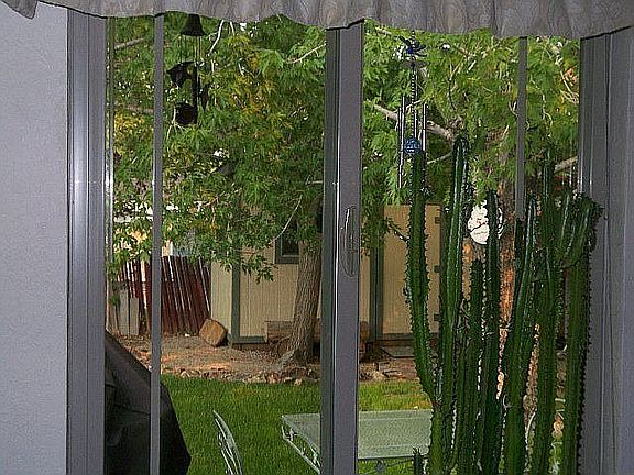 New windows-Storage shed