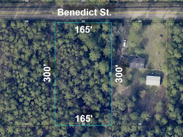 4235 Benedict St, Hastings, FL 32145