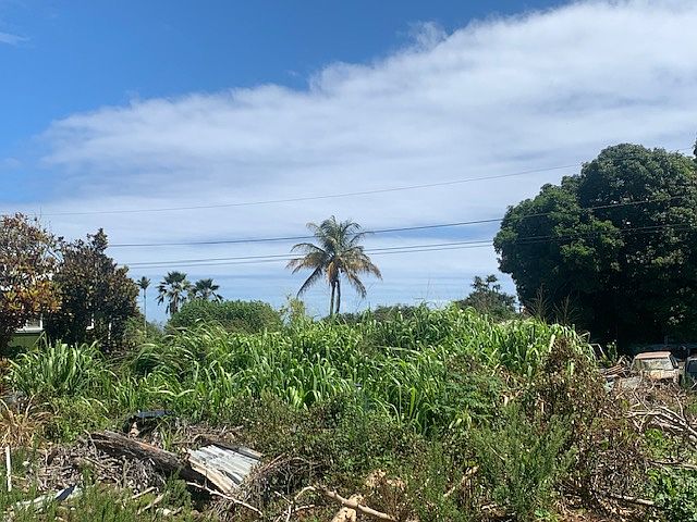 1st image of 45-109 Pikonia Loop Lot 50