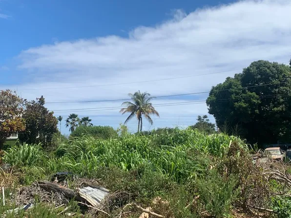 45-109 Pikonia Loop Lot 50, Honokaa, HI 96727