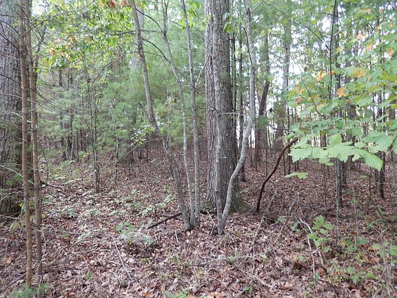 4th image of 91 Hanning Dr