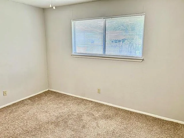 3413 Rocky Hollow Trl — Photo 26