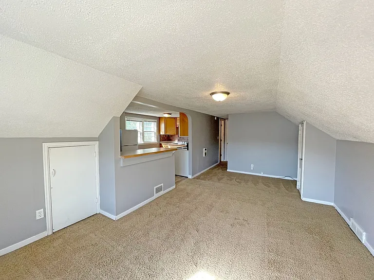 Three Plex Across from MSU — Photo 6