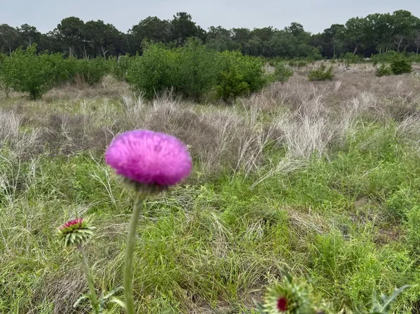 LOT 52 CLEARWATER CANYON RD LOT 52, Bandera, TX 78003