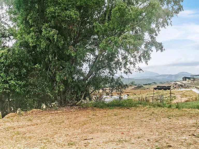 Dye Rd — Photo 10