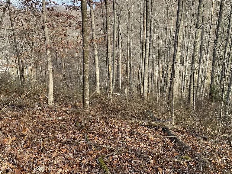 Davis Cemetery Rd — Photo 17