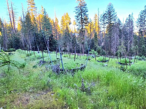 4th image of 1161 Chrome Mine Rd