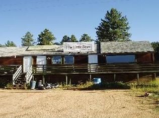 2238 Shelton Dr, Bailey, CO 80421